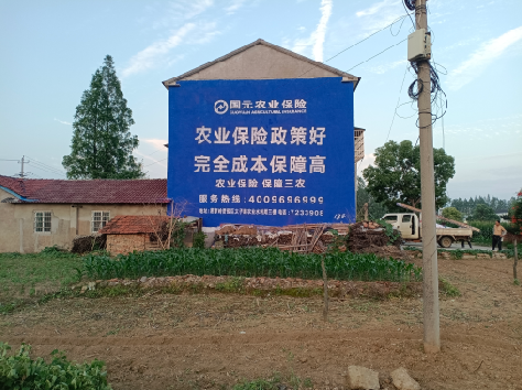 盐源墙体广告为何受追捧？