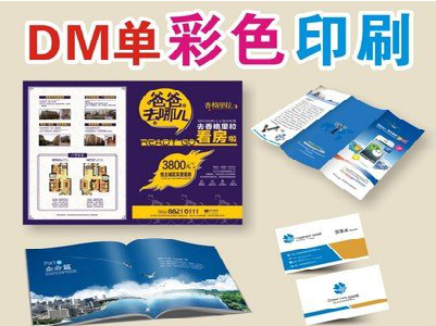 盐源单页印刷，色彩搭配简单。